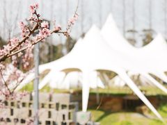 -前小桔亲子创意农场·草莓采摘·露营烧烤