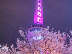 -东方明珠广播电视塔