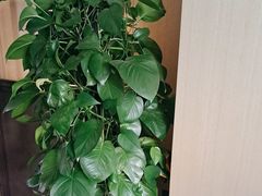 -名岛家宴(龙塔店)