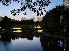 -晓港公园