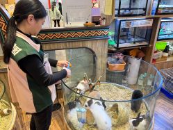 -卡通尼·Safari非洲探索乐园·生日会(金桥国际商业广场店)