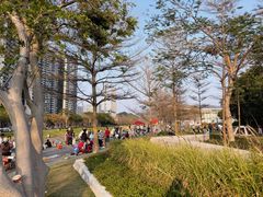 -光明小镇欢乐田园