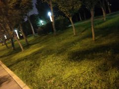 -五彩凉山自助西昌烧烤(柳翠路店)