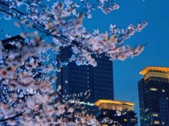 -西北湖绿化广场