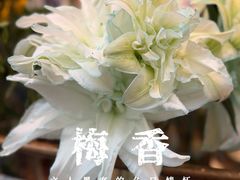 -天津万象城