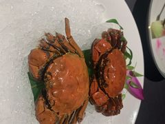 -福玺荟(外滩罗斯福店)