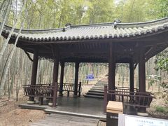 -游子山休闲旅游区