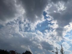 -书亦烧仙草(麒麟巷店)