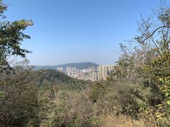 -青龙山国家森林公园