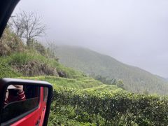 -大余丫山旅游度假区