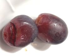 -山壹竹庭院餐厅