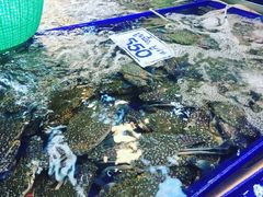 -兰坡海鲜市场