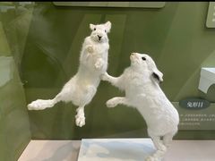 -国家自然博物馆