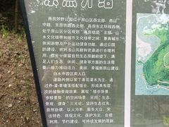 -白水寺森林公园
