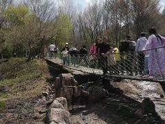 -帽儿山风景区