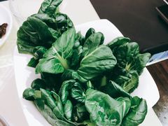 维他命菜-海底捞(明洞店)