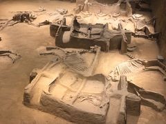 -洛阳周王城天子驾六博物馆