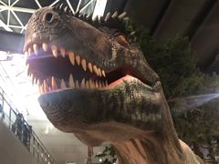 -湖南省地质博物馆