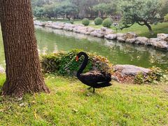 -钓鱼台国宾馆