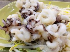 芥末海菊花-贞姨美食·老字号海鲜大排档