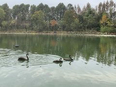 -上海怡沁园度假酒店