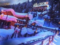 -山河屯铁锅炖鲜鹅·东北菜(开发区一店)