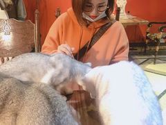 -猫色咖啡·猫咖