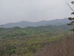 -北京鹫峰国家森林公园