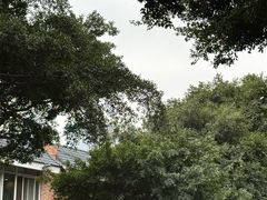 -天天足道(紫荆店)