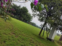 -星湖特色餐厅· 三岔湖环球融创天堂洲际酒店