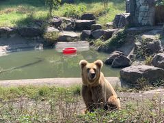 -宁波野生动物园