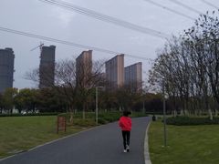 -九里河湿地公园