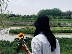 -洨河生态公园