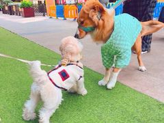 -佛山京华广场MALL