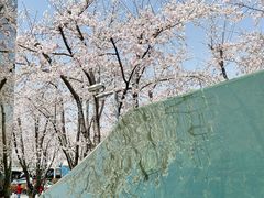 -龙美术馆(西岸馆)