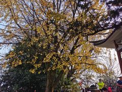 -岳麓山风景名胜区