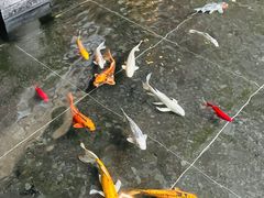 -天津海河悦榕庄·Lobby Lounge大堂吧