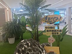 -凯德MALL(望京店)