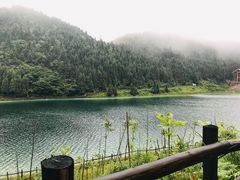 -武陵山森林公园