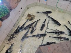 -春盛渔府(牛首山店)