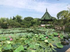-无锡蠡湖国家湿地公园-蠡园