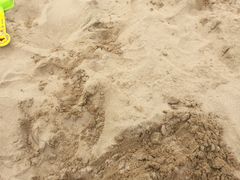 -日照海滨国家森林公园