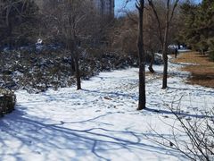 -元大都城垣遗址公园