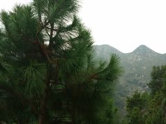 -北岐滩涂