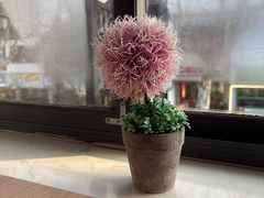 -笃笃笃糖粥(十全街店)