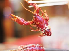 -金陵暴走小龙虾·迷踪蟹(凯德MALL店)