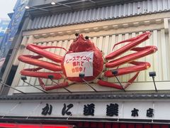 -蟹道乐(道顿堀本店)