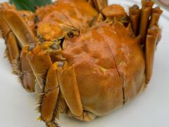 江南醉六月黄蟹-苏小柳点心·手作小笼包(新街口分院店)