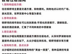 -Big Bus Tours 敞篷观光巴士