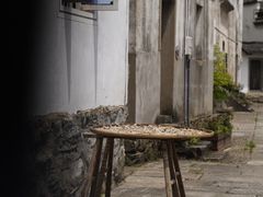 -东梓关景区村庄